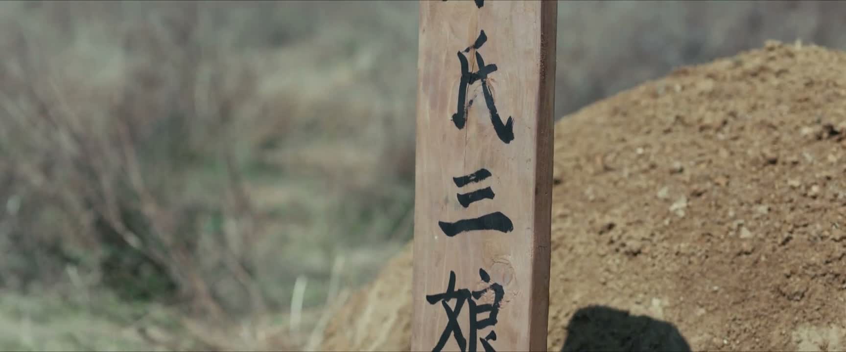 康婆子是孤身一人