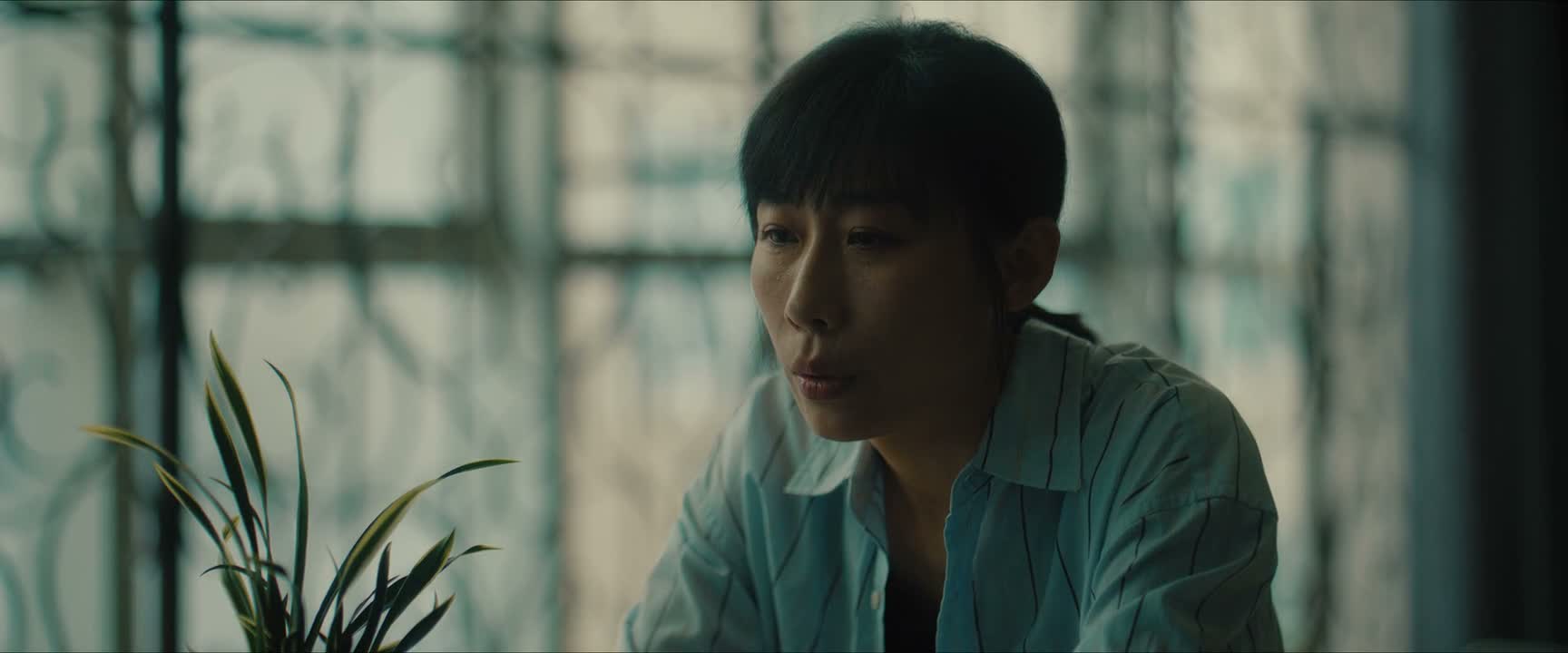 最近生意越做越好了