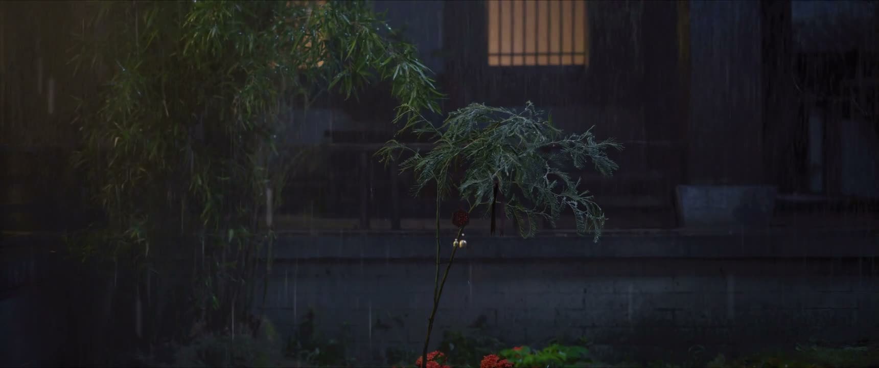 有了新的期待吧