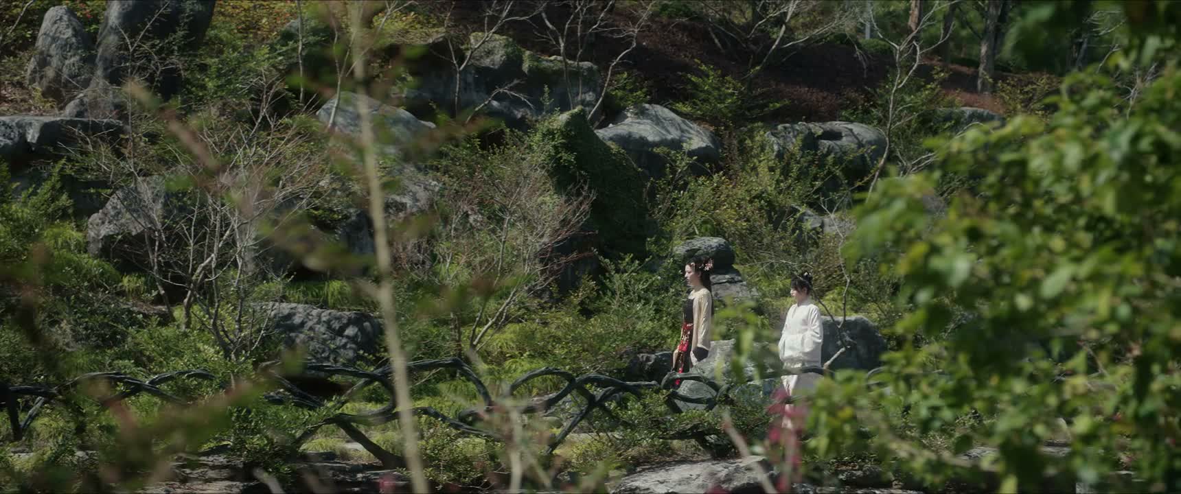 我看是吃饱了撑的想花钱