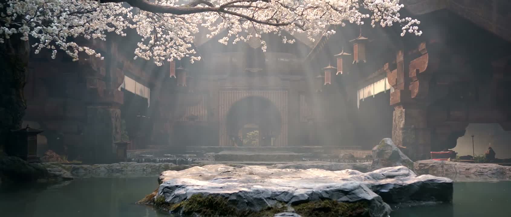上次小师妹带回的山慈菇和兰草