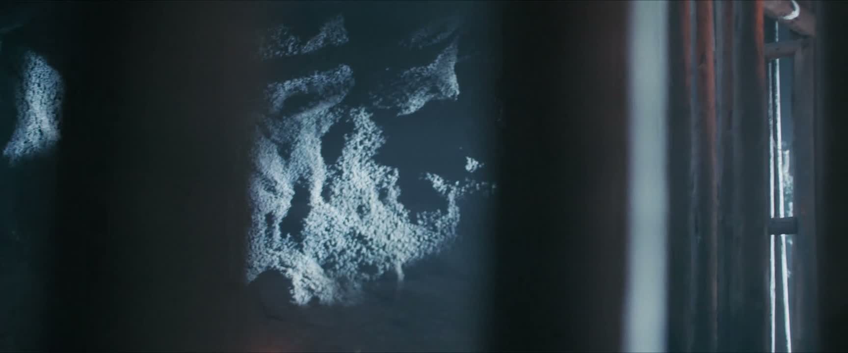 血迹未干又重逢