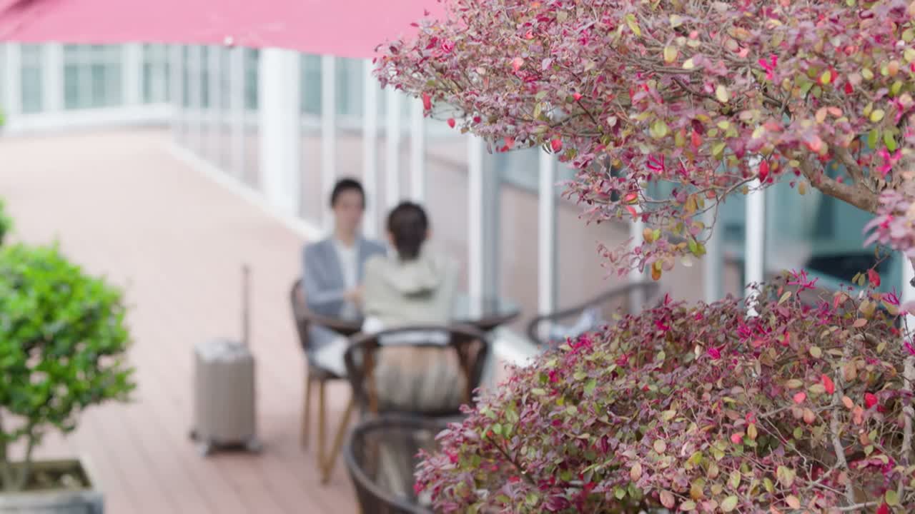 这到底怎么回事啊
