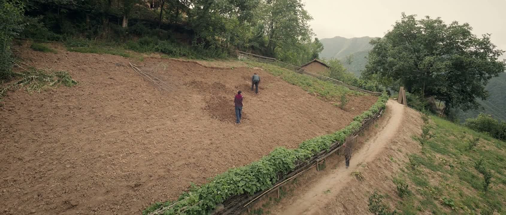 她生娃 我哪知道
