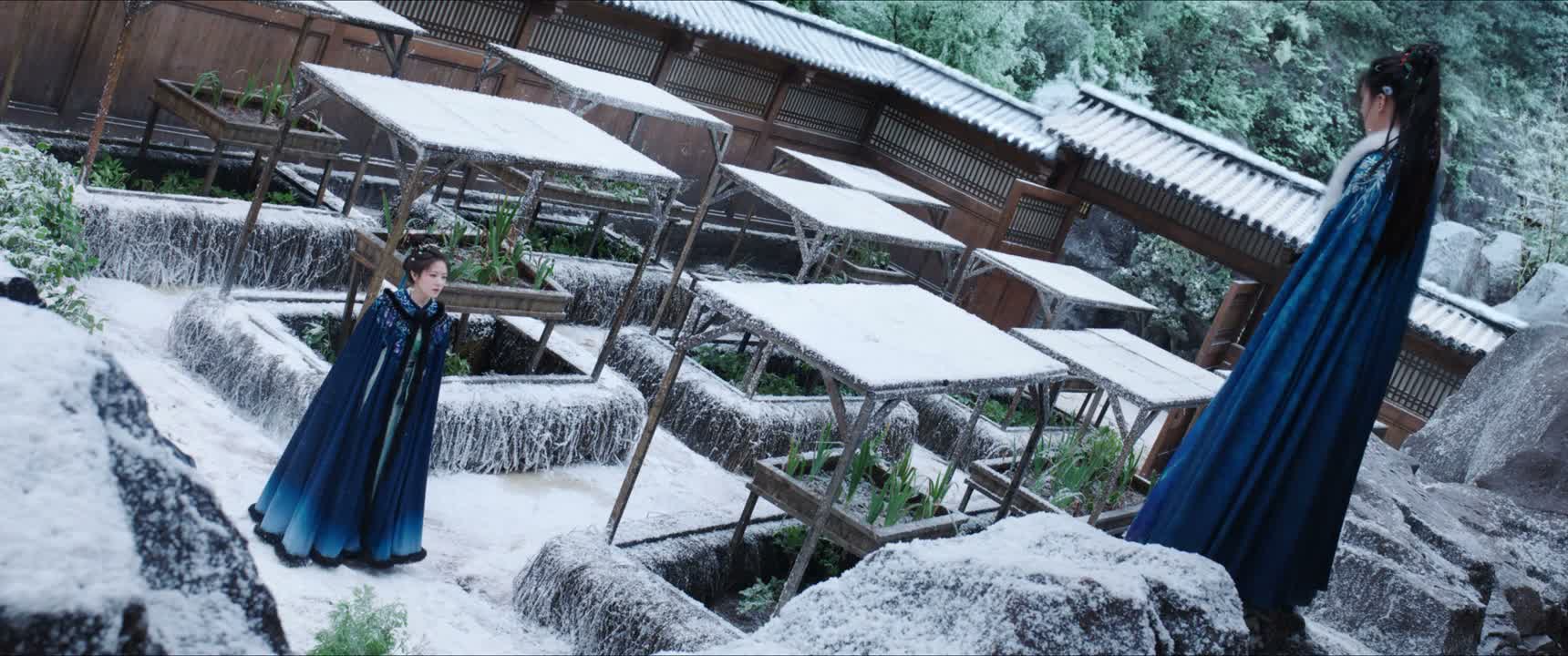 为何偏偏昨夜下了雪