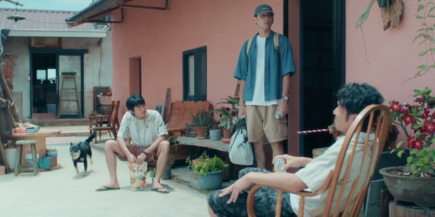 这些烂木头上次不是没有吗