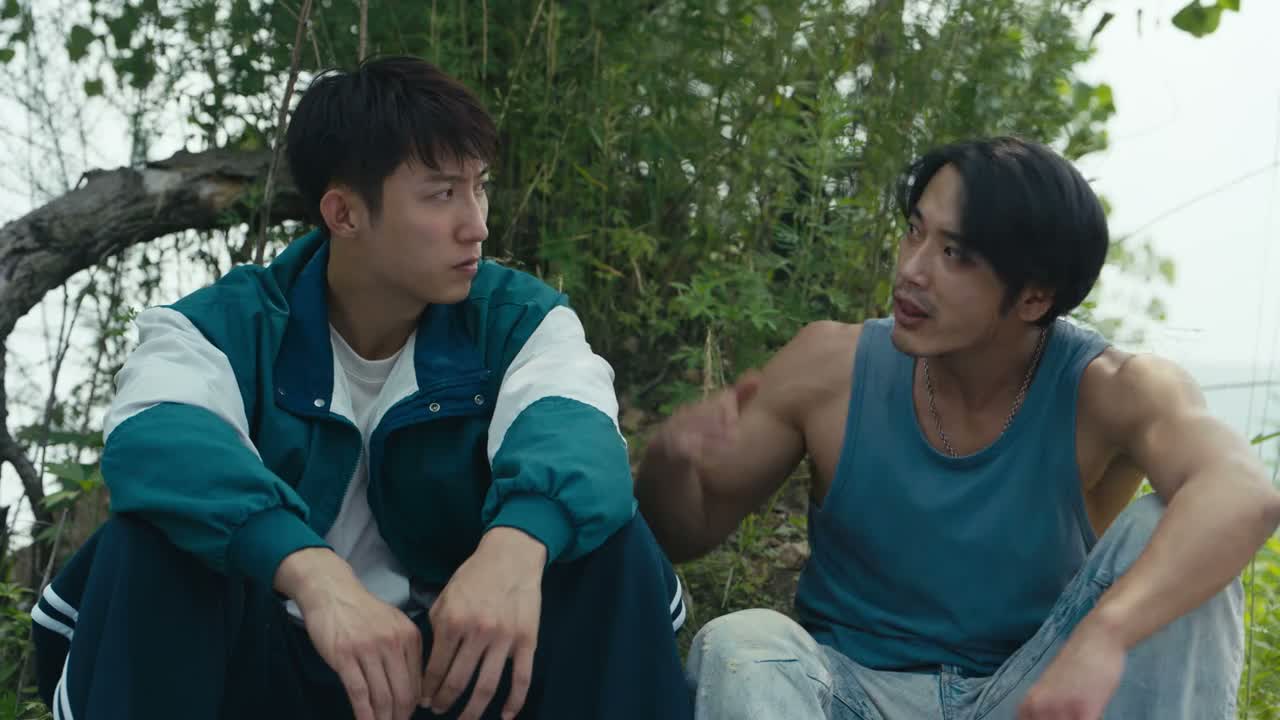 那老帅了
