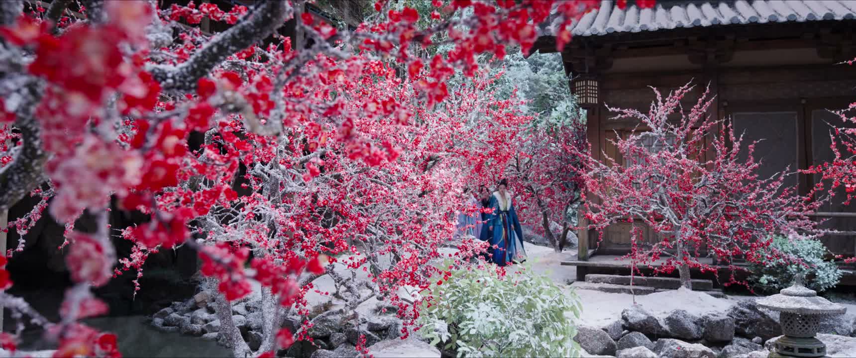 她不会对白公子动了真心吧