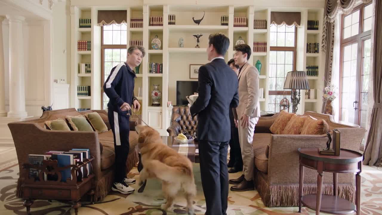 是我玩得尽兴 还是它玩得尽兴啊